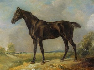 El caballo negro de montar de Golding Constable, c.1805-10