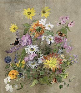 Flores de verano