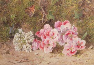 Mariposa y flores