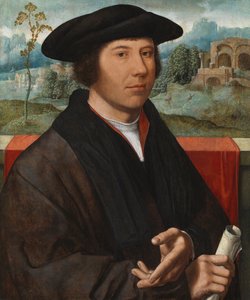 Retrato de un hombre, 1528-29