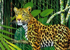 Animales: Leopardo 1