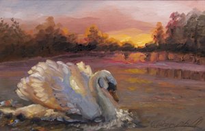 Cisne al amanecer, 2016