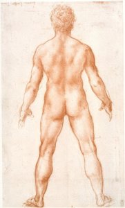 Desnudo masculino de espaldas