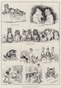 Bocetos en la exposición de gatos, Palacio de Cristal