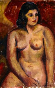 Estudio de un desnudo femenino