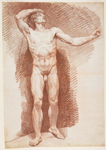 Desnudo masculino de pie