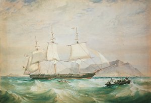 H.M.S. Hornet