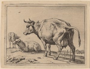 Vaca orinando