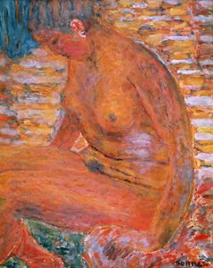 Desnudo Sombrío