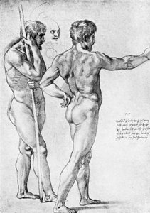 Dos estudios de desnudos masculinos, 1515, 1912
