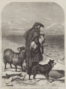 El pastor de las tierras altas