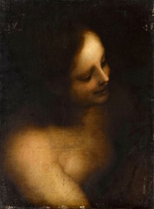 Desnudo femenino de busto