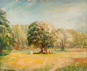 Tiempo de floración, Bosque de Epping, Essex