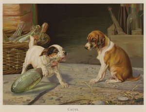 Causa