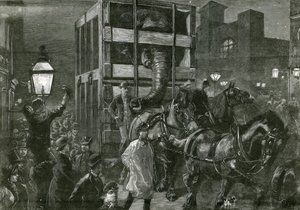 El viaje de Jumbo a los muelles