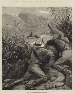 La guerra en el Transvaal