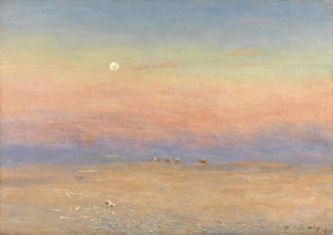 Caravana del desierto