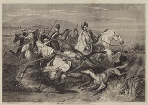 Caza de jabalíes en África
