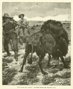 Una caza de bisontes
