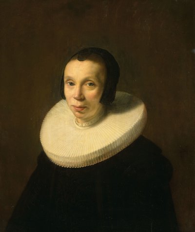 Retrato de mujer de Abraham de Vries