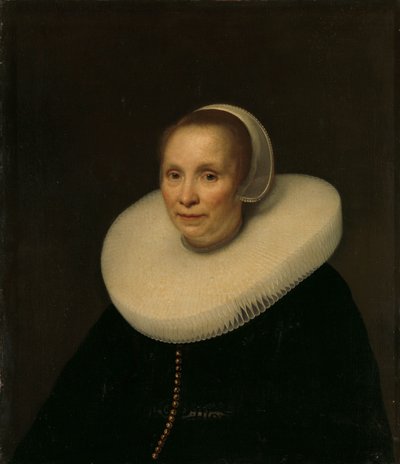 Retrato de una mujer de Abraham van den Tempel