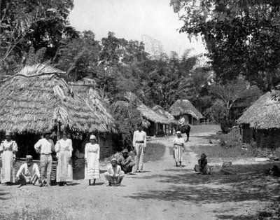 Cabañas nativas, Jamaica, c1905 de Adolphe Duperly and Son