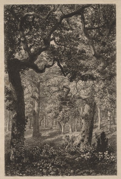 En el bosque de Adolphe Théodore Jules Martial Potémont