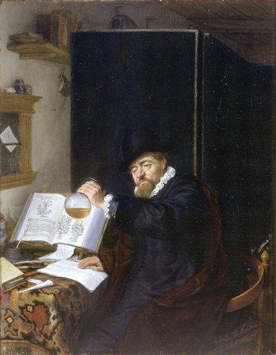 Análisis de Adriaen Jansz. van Ostade