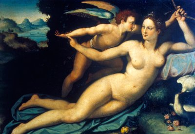 Venus y Cupido, mediados del siglo XVI de Agnolo Bronzino