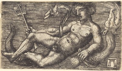 Neptuno en un monstruo marino de Albrecht Altdorfer