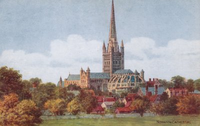 Catedral de Norwich de Alfred Robert Quinton