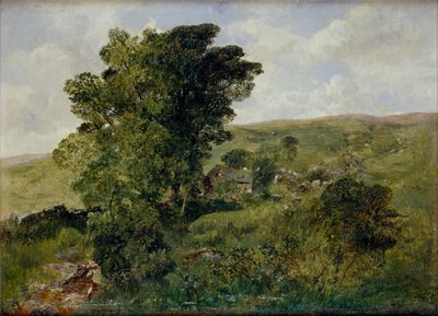 Vista de Nantlle, Caernarvonshire, 1855 de Alfred William Hunt