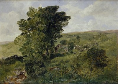 Vista de Nantlle, Caernarvonshire, 1855 de Alfred William Hunt