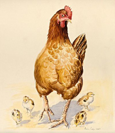 La gallina de George y sus polluelos, 2007 de Alison Cooper