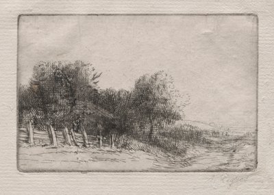 Paisaje (Un Paysage) de Alphonse Legros