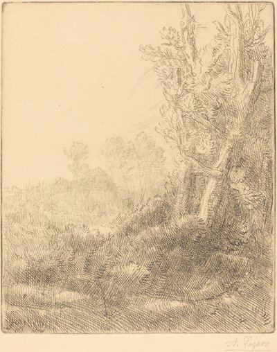 Pueblo Viejo de Alphonse Legros