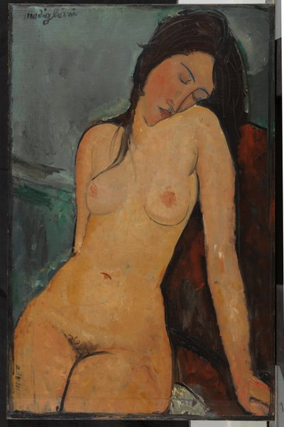 Desnudo femenino, c.1916 (óleo sobre lienzo) de Amedeo Modigliani