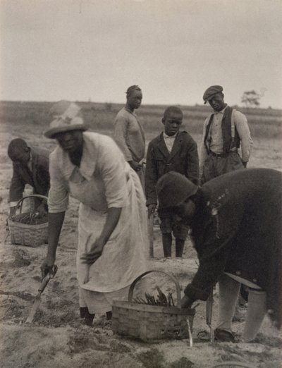 Trabajo de Campo de American Photographer