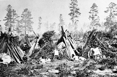 Cabañas indias de Yosemite, c.1870s de American Photographer