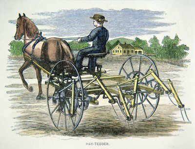 Máquina agrícola Hay-tedder, c.1880 de American School