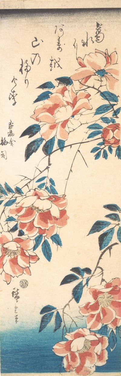 Rosa de Ando Hiroshige