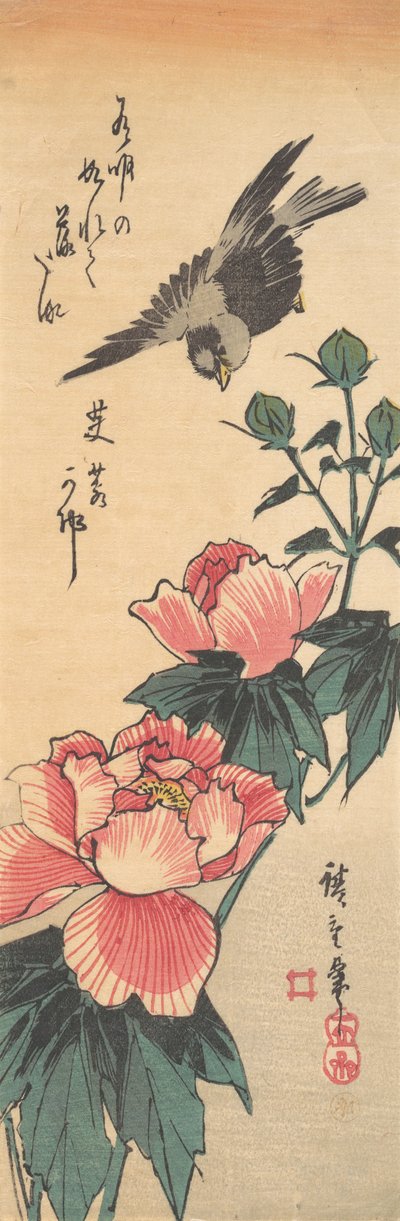 Gorrión y hibisco, ca. 1834 de Ando Hiroshige