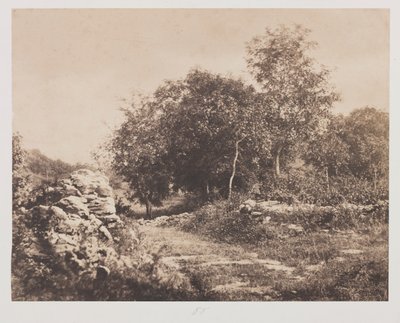 Untitled (Scene of Fontainbleau) de André Giroux