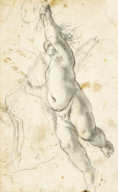 Putto volador de Annibale Carracci