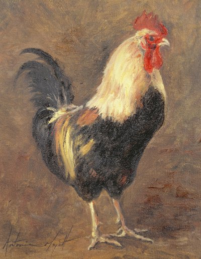 El gallo, 1999 de Antonia Myatt