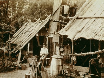 Prospector australiano, c.1880s de Australian School