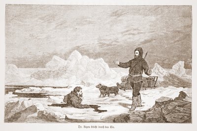 El Dr. Repes cae a través del hielo, 1876 de Austrian School