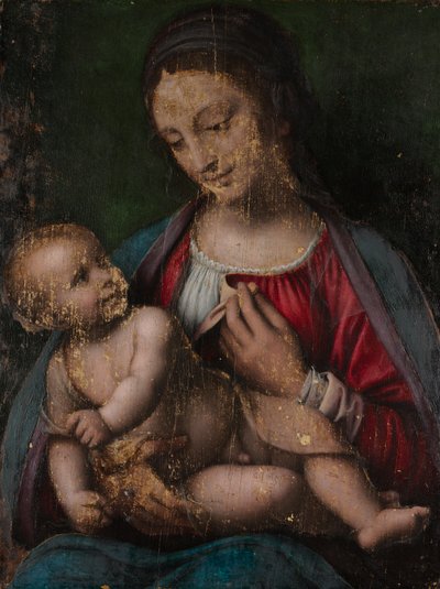 Virgen con el Niño, c.1500 (óleo sobre madera) de Bernardino Luini