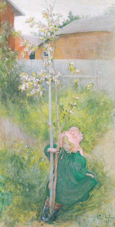Flor de Manzano, 1894 de Carl Larsson