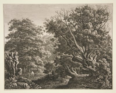 Paisaje con árbol nudoso de Carl Wilhelm Kolbe the elder